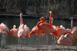 DSC_0496.JPG