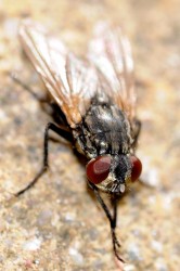 DSC_7362.jpg