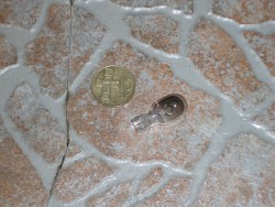 P1120740_resize.JPG