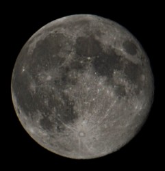 DSC_0183.JPG