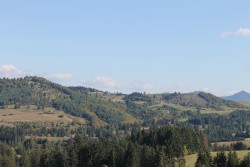 IMG_5046.JPG