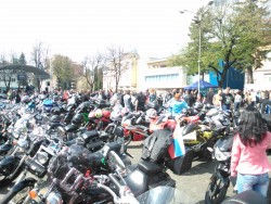 DSC_0707.jpg