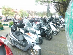 DSC_0754.jpg