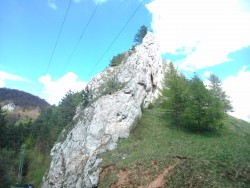DSC_0835.jpg