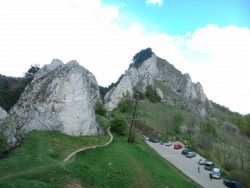DSC_0799.jpg