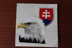 IMG_5816.JPG