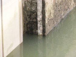 P1210114.JPG (594.9 KiB) 4430 zobrazení P1210114.JPG