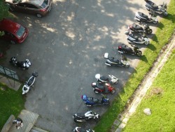 P1000255.JPG
