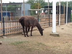 20140721_133458.jpg