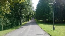 WP_20140725_006.jpg