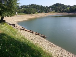 20140727_101348.jpg