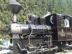 20140802_104613.jpg