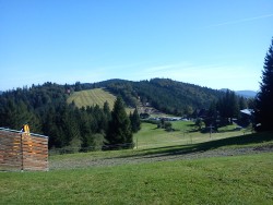 DSC06083.jpg