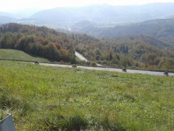 20141012_124229.jpg