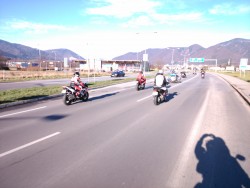 DSC_1625.jpg