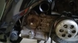 WP_20150520_002.jpg
