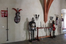 IMG_7558.JPG