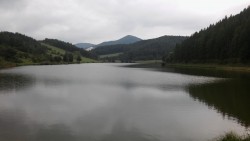 Košiare.jpg