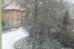 IMG_8329.JPG