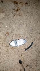 IMG_20160109_162525.jpg (2.66 MiB) 5817 zobrazení IMG_20160109_162525.jpg