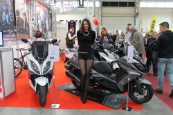IMG_8404.JPG