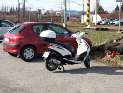 Muška 19.3. 2016.jpg