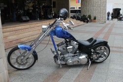 IMG_8517.JPG