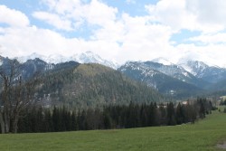 IMG_8542.JPG