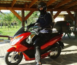 pcx.jpg